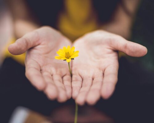 Grief Counseling Philadelphia