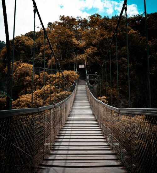 Life Transitions Counseling Philadelphia