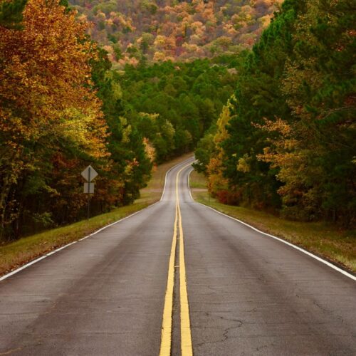 Peaceful empty road through autumn trees, representing freedom and calm driving after EMDR for accident trauma