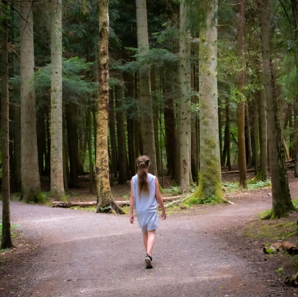 two paths symbolizing the different types of therapy for self-esteem