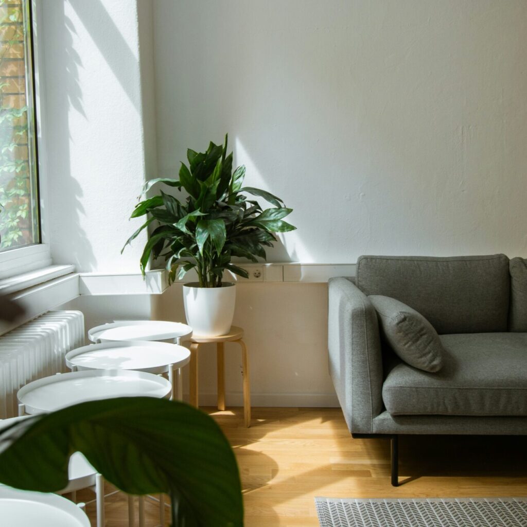 a therapy office that does both marriage counseling and individual therapy