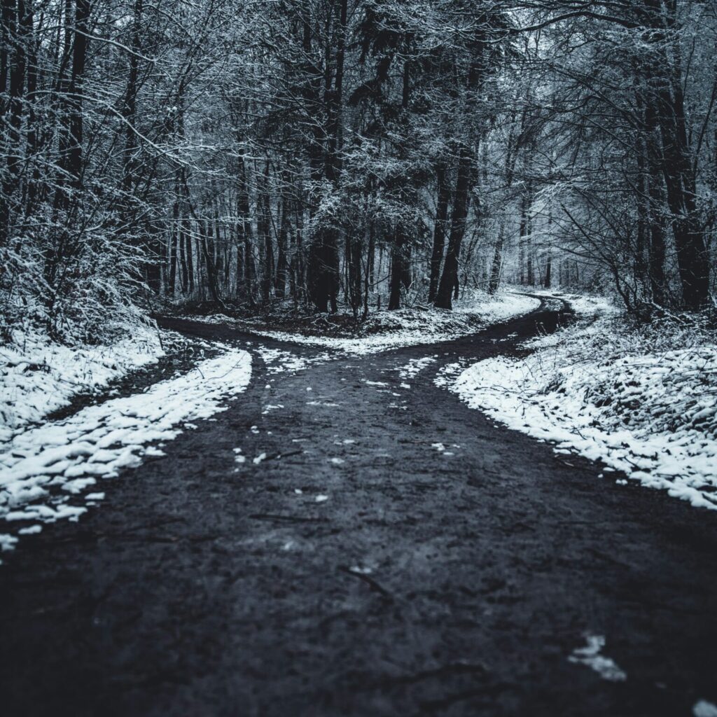 a fork in the road symbolizing discernment counseling